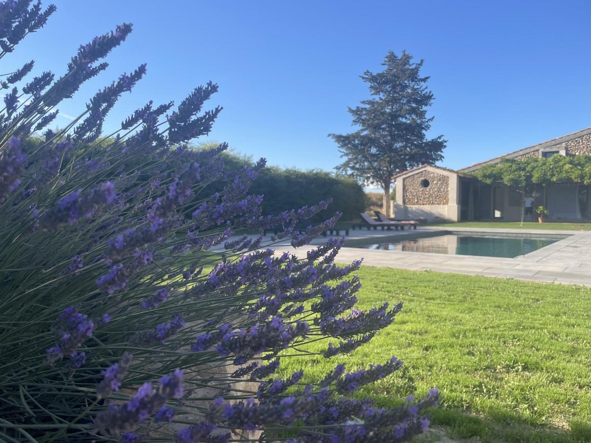 Les Mazets Du Pas Hotel Gréoux-les-Bains Kültér fotó