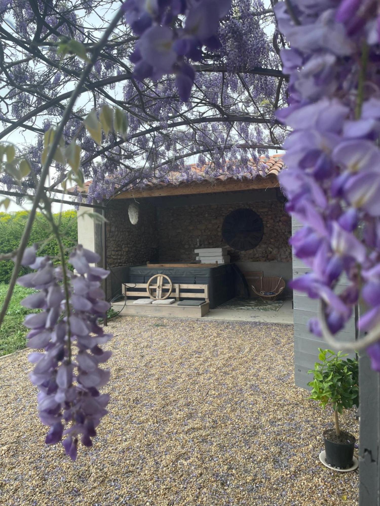 Les Mazets Du Pas Hotel Gréoux-les-Bains Kültér fotó